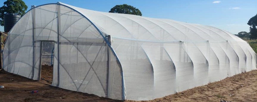 fields-greenhouse_181624-17783